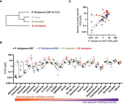 Inhibition of malaria and babesiosis parasites by putative red blood cell targeting small molecules